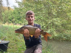 Common Carp