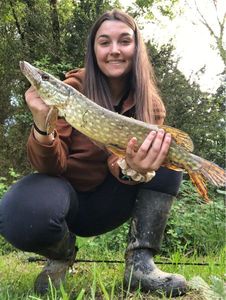 Northern Pike
