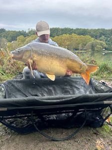 Mirror Carp