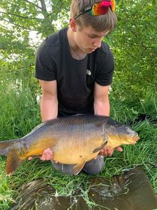 Mirror Carp
