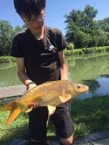 Mirror Carp