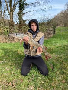 Northern Pike