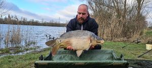 Mirror Carp