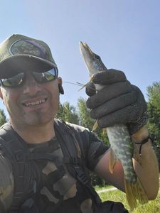 Northern Pike