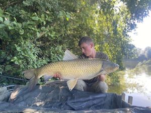 Grass Carp