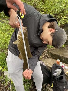 Smallmouth Bass