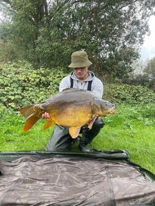 Mirror Carp