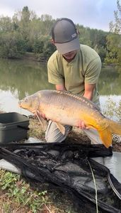 Leather Carp