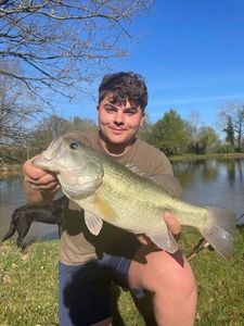Smallmouth Bass