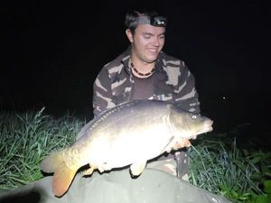 Mirror Carp