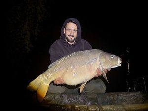 Mirror Carp