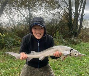 Sturgeon