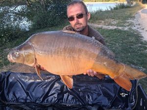 Mirror Carp