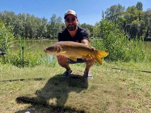 Mirror Carp