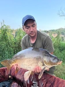 Mirror Carp