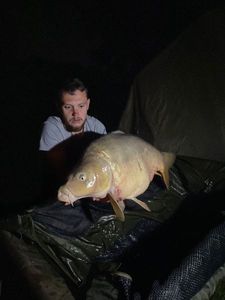 Mirror Carp