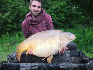 Mirror Carp