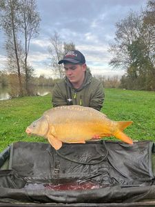 Mirror Carp