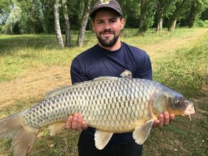 Common Carp