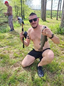 Rainbow Trout