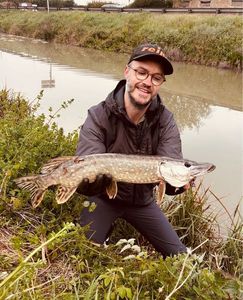 Northern Pike