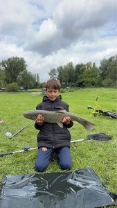 Grass Carp