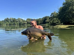 Common Carp