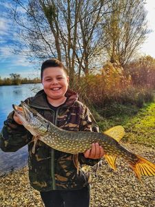 Northern Pike