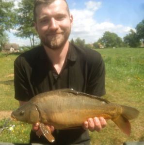 Mirror Carp