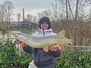 Northern Pike