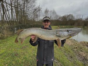 Northern Pike