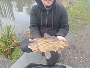 Crucian Carp