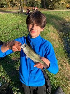 Smallmouth Bass