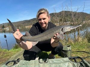 Sturgeon