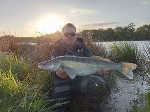Zander