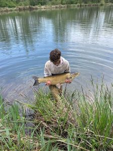 Silver Carp