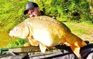 Mirror Carp