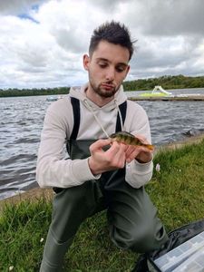 European Perch