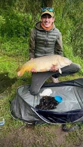 Common Carp