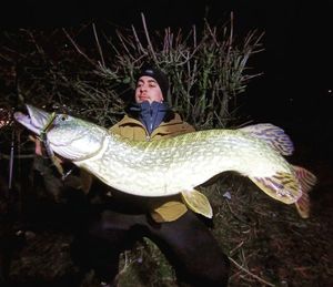 Northern Pike
