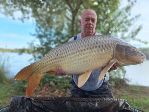 Common Carp