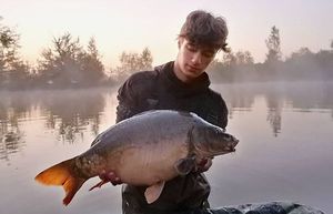 Mirror Carp