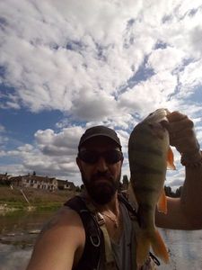 European Perch