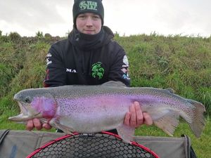 Rainbow Trout