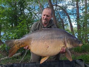 Mirror Carp