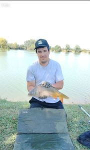 Mirror Carp