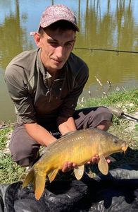 Mirror Carp