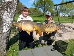 Common Carp