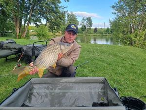 Common Carp