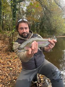 Rainbow Trout